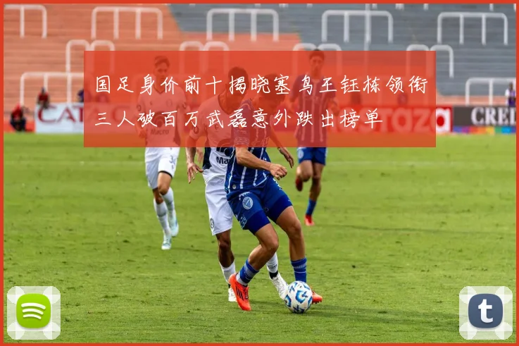 国足身价前十揭晓塞鸟王钰栋领衔三人破百万武磊意外跌出榜单