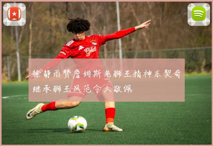 徐静雨赞詹姆斯老狮王精神东契奇继承狮王风范令人敬佩