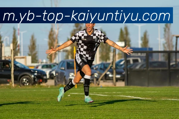 开云体育APP 封面图